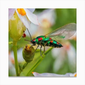 Beetle 36 Canvas Print