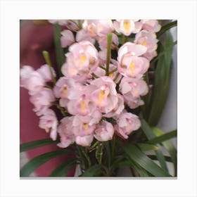 Pink Orchids Canvas Print