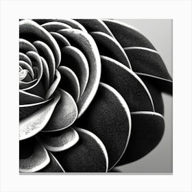 Black And White Flower Canvas Print