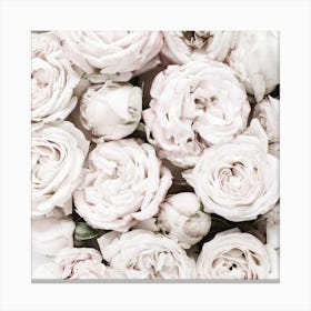 White Roses Canvas Print