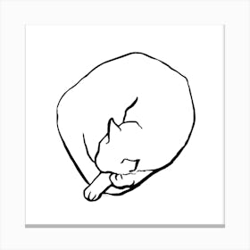 Cat Sleeping In A Circle Ink Drawing Canvas Print