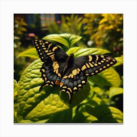 Butterfly In The Garden 4 Canvas Print