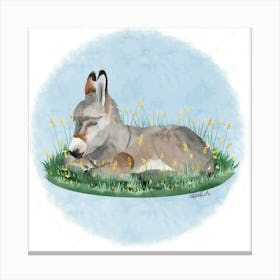 Donkey/Âne Canvas Print