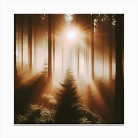 Misty Forest Canvas Print