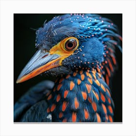 Blue And Orange Bird Canvas Print