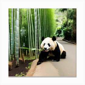 Panda Bear In Bamboo Forest 9 Canvas Print