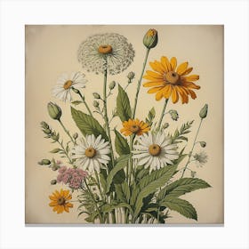 Daisies In A Vase Canvas Print