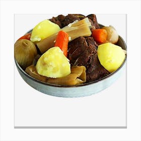 Pot Au Feu Costume Easy Last Minute Halloween Beef Potato Canvas Print