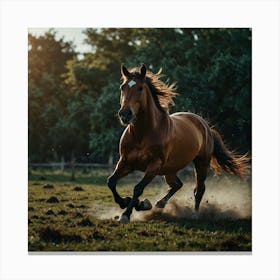 Horse Galloping In The Field 4 Canvas Print