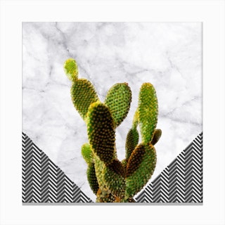 Cactus on White Marble and Zigzag Wall Canvas Print