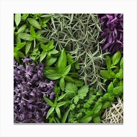 Fresh Herbs 6 Canvas Print