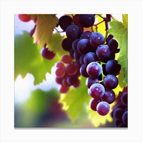 Grapes On The Vine 10 Canvas Print