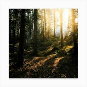 Sun Rising In A Forest Canvas Print