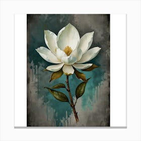 Magnolia Canvas Print