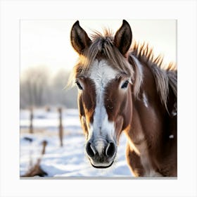 Horse Animal Grass Breeding Head Pasture Donkey Standing Farm Cute White Background Natu (5) Canvas Print