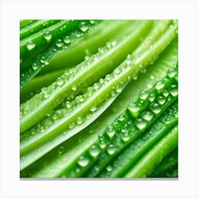 Green Leaf With Water Droplets Canvas Print