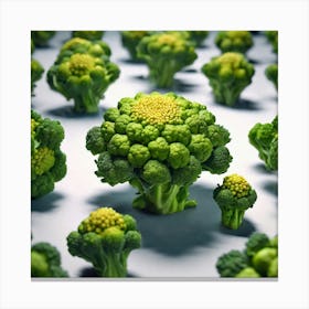 Florets Of Broccoli 15 Canvas Print