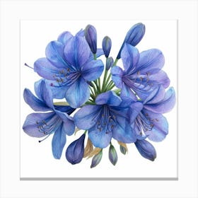 Blue Azalea Canvas Print