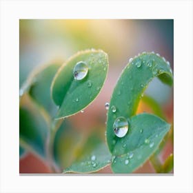 Albedobase Xl A Picture Of A Green Plant With Dewdrops On It 0 (1) Canvas Print