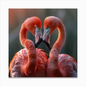 Flamingos Canvas Print