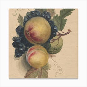 Fruit 8 Canvas Print