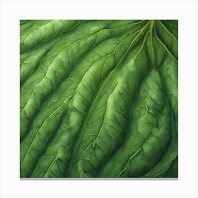 Close Up Of A Leaf Canvas Print