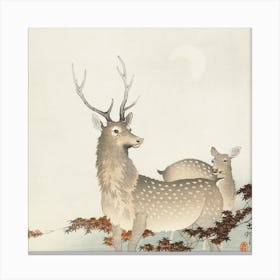 Couple Of Deers, Ohara Koson Vintage Japanese Canvas Print