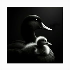 Mother Duck And Baby Duck 1 Canvas Print