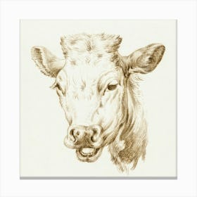 Head Of A Cow 1, Jean Bernard Canvas Print