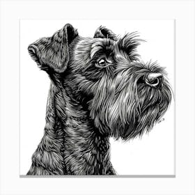 Cesky Terrier Dog Line Sketch 1 Canvas Print