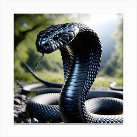 Black Cobra Canvas Print