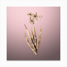 Gold Botanical Blackberry Lily on Rose Quartz Canvas Print
