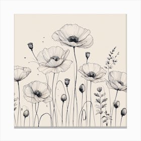 Poppies flowers 3 Canvas Print