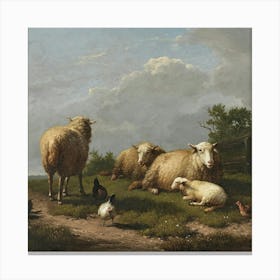 Sheeps 6 Canvas Print