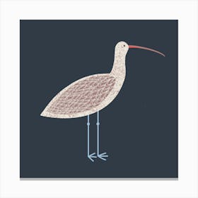 Curlew Coastal Wading Bird Canvas Print