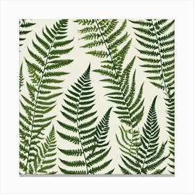 Fern Leaves 10 Canvas Print