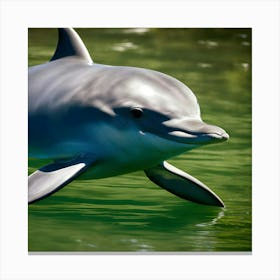 Dolphin Swimming In Water Canvas Print