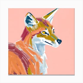 Ethiopian Wolf 02 Canvas Print