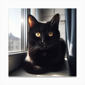Black Cat Sitting On Window Sill Canvas Print