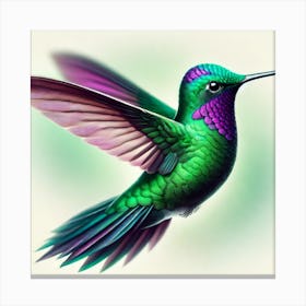 Hummingbird 18 Canvas Print