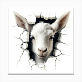 Goat In A Hole Canvas Print