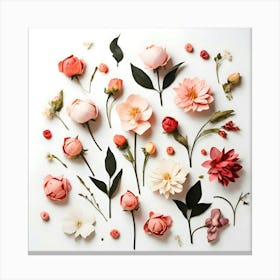 Flowers Flat Lay On White 4 Canvas Print