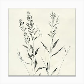 'Grasses' Canvas Print