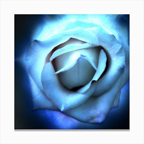 Blue Rose Canvas Print