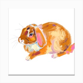 English Lop Rabbit 03 Canvas Print