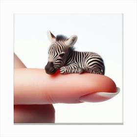 Tiny Zebra Canvas Print