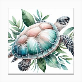 Turtle 3 Canvas Print