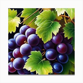 Grapes On The Vine 2 Canvas Print