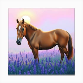 Horse In Lavender Field 9 Canvas Print