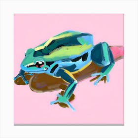 Poison Dart Frog 06 Canvas Print
